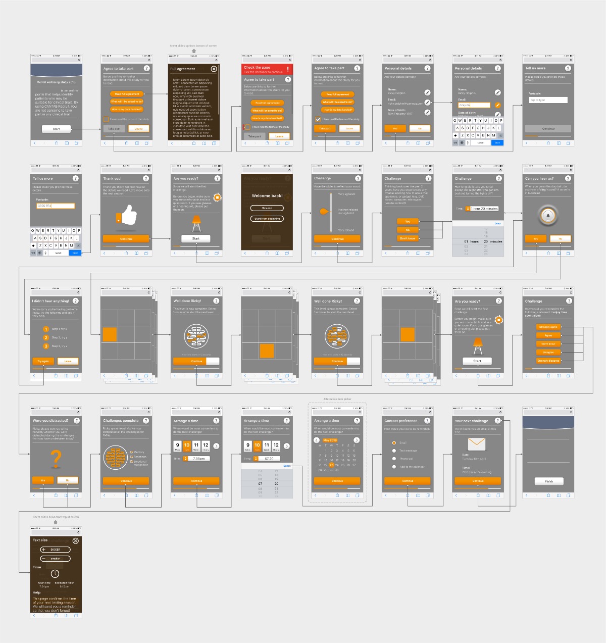 Cognitive testing portal for Cambridge Cognition